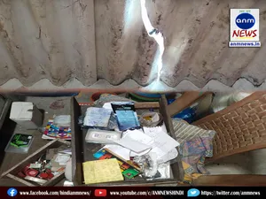 Thieves broke into two shops by breaking the roof
