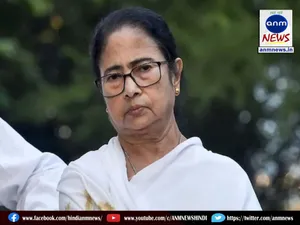mamata b