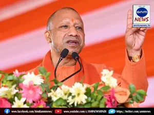 yogi