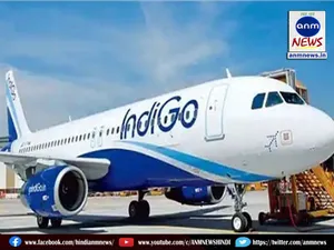 indigo