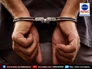 fraud cases
