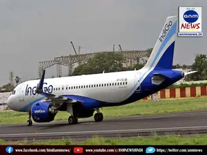indigi landing
