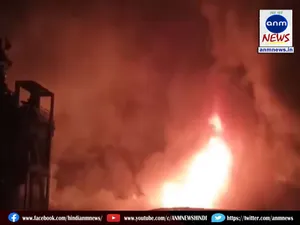 Fire in paint factories