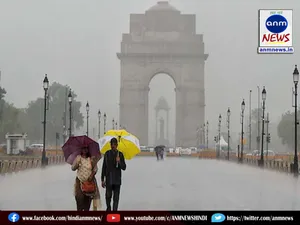 delhi weather