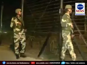 bsf