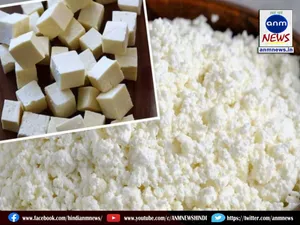paneer