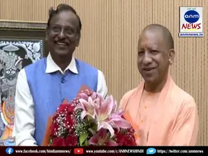 yogi