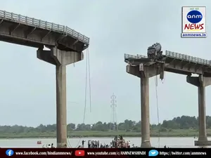 Bridge Collapse