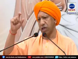 yogi