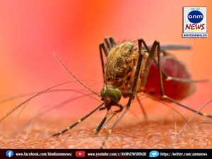 Dengue