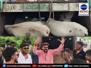 Durgapur Gaay Kand