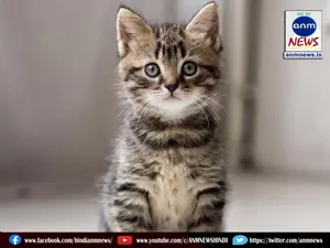 bihar news