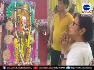 cm mamata