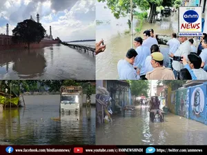 yamuna flood