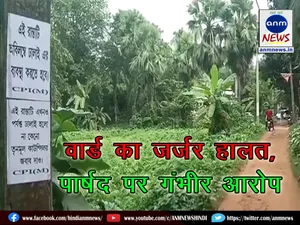 Serious allegations against councillor