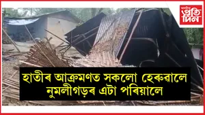 নুমলীগড়ত হাতীয়ে ভাঙিলে কেইবাটাও ঘৰঃ কোনোমতে প্ৰাণ ৰক্ষা শিশুসহ মহিলাৰ...