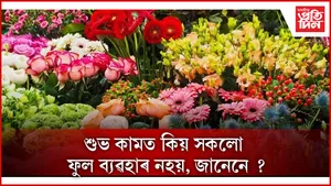 ফুল