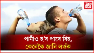 seo web পানী