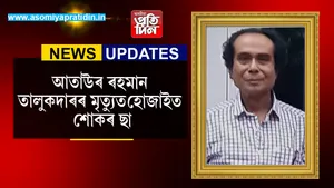 ডবকা