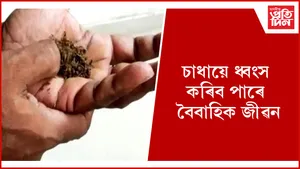 চাধা
