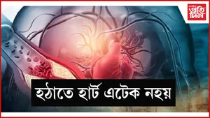 seo web   হাৰ্ট এটেক