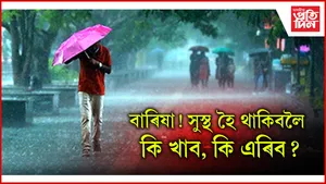 বাৰিষা