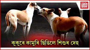 কুকুৰ