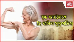 বৃদ্ধ seo
