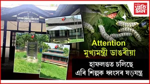 হাফলঙত ৰেছম বিভাগৰ ভূমি অবৈধ হস্তান্তৰ, বেদখলঃ আপুৰুগীয়া সম্পদৰ ধ্বংসযজ্ঞ ডিমা হাছাও স্বায়ত্ব শাসিত পৰিষদৰ