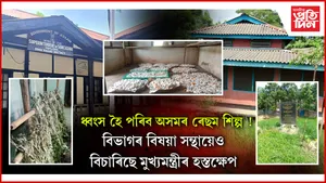 ডিমা হাছাও স্বায়ত্ব শাসিত পৰিষদৰ ষড়যন্ত্ৰত হাফলঙত আৰম্ভ এৰী শিল্পৰ মৃত্যুমুখী যাত্ৰা