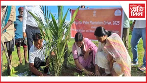 ডিমা-হাচাওৰ দিয়োংব্ৰাৰত তৈল খেজুৰ ৰোপণ কাৰ্যসূচী