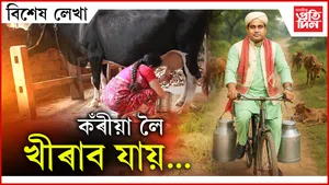 ap BIKHEKH LEKHA malla
