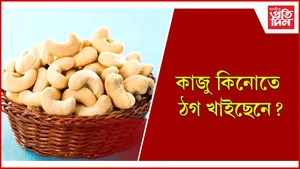 কাজু