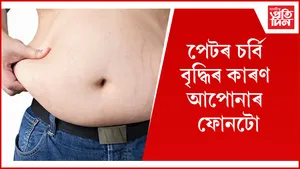চৰ্বি  seo