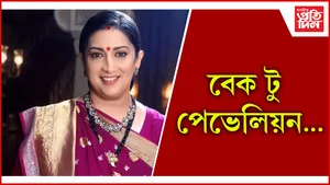 বেক টু পেভেলিয়ন… seo