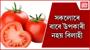 বিলাহী seo