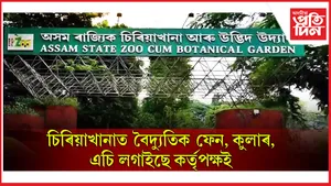 গৰমত চিৰিয়াখানাৰ জন্তুৰো অৱস্থা কাহিলঃ ফেন, এচিৰে সকাহ দিয়াৰ চেষ্টা কৰ্তৃপক্ষৰ...