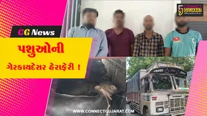 અંકલેશ્વર: બી ડિવિઝન પોલીસે NH 48 પરથી 27 ભેંસ મુક્ત કરાવી, 4 આરોપીઓની અટકાયત