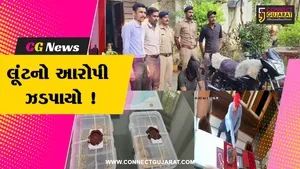 ભરૂચ: ઓનલાઈન ગેમિંગમાં રૂ.10 લાખ હારી જતા યુવાને વાગરામાં જવેલરી શોપમાં કરી લૂંટ, પોલીસે ગણતરીના સમયમાં જ ઝડપી પાડ્યો