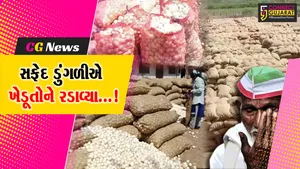 ભાવનગર : કમોસમી વરસાદ અને ડુંગળીનાં ભાવ તળિયે જતા ધરતીપુત્રોની હાલત દયનીય બની,ખેડૂતે કર્યો કસ્તુરી સમાન પાકનો નાશ