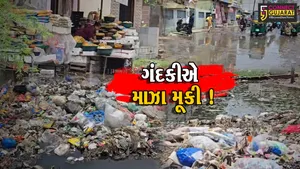 ભરૂચ: વરસાદી માહોલ વચ્ચે ફાંટા તળાવ વિસ્તારમાં ગંદકીએ માઝા મૂકી, સ્થાનિકો ત્રાહિમામ