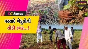 જૂનાગઢ : કમોસમી વરસાદના કારણે ખેડૂતોમાં ચિંતાગ્રસ્ત,ઉનાળુ પાકને ભારે નુકસાનથી ધરતીપુત્રોના લલાટે ચિંતાની લકીર