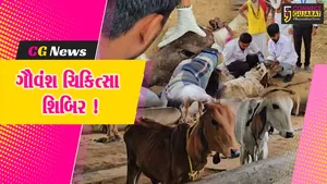 ભરૂચ: સાર્થક ફાઉન્ડેશન ચેરીટેબલ ટ્રસ્ટ દ્વારા ગૌવંશ ચિકિત્સા શિબિર યોજાઈ