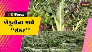 ભરૂચ : ઝઘડીયા તાલુકામાં આવેલા વાવાઝોડાએ તારાજી સર્જી, કેળ સહિતના પાકમાં મોટું નુકશાન...