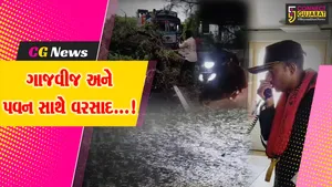 ગુજરાત : રાજ્યમાં ભારે પવન સાથે વરસાદ, અનેક વૃક્ષો ધરાશાયી જનજીવન બન્યું અસ્તવ્યસ્ત