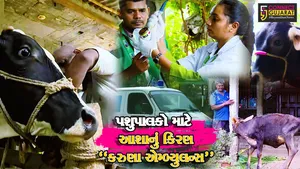 બેસ્ટ એનિમલ લાઇફ સેવર નેશનલ એવોર્ડ સમારોહ-હૈદરાબાદમાં ગુજરાતની કરુણા એમ્બ્યુલન્સ સેવાની નોંધ લેવાય...