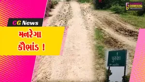 દાહોદ બાદ ભરૂચમાં પણ મનરેગા કૌભાંડ, 2 એજન્સીઓએ 11 ગામોમાં થયેલ કામોમાં ગેરરીતિ આચરી રૂ.19.64 લાખ વસુલ્યા !
