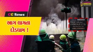 અંકલેશ્વર: GIDCની ફીનોર પીપલજ કંપનીમાં આગ લાગતા દોડધામ, ધુમાડાના ગોટેગોટા દૂર દૂર સુધી નજરે પડ્યા