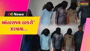 સંઘપ્રદેશ દમણમાં થયેલી રૂ. 1.33 કરોડની ચોરીનો ભેદ પોલીસે ઉકેલી કાઢ્યો, દાહોદથી 3 તસ્કરોની ધરપકડ