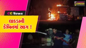 અંકલેશ્વર: કાપોદ્રા પાટીયા નજીક લાકડાની કેબિનમાં આગ, ફાયર વિભાગે આગ પર કાબુ મેળવ્યો